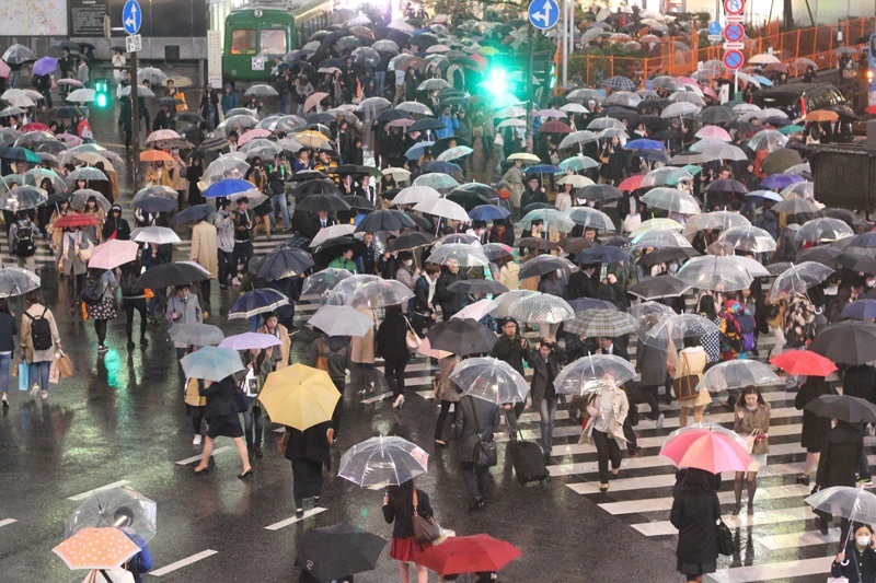 Ô là một vật dụng không thể thiếu vào mùa mưa ở Nhật Bản