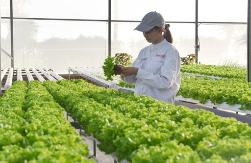 XKLĐ Đài Loan ngành nông nghiệp có gì hấp dẫn?