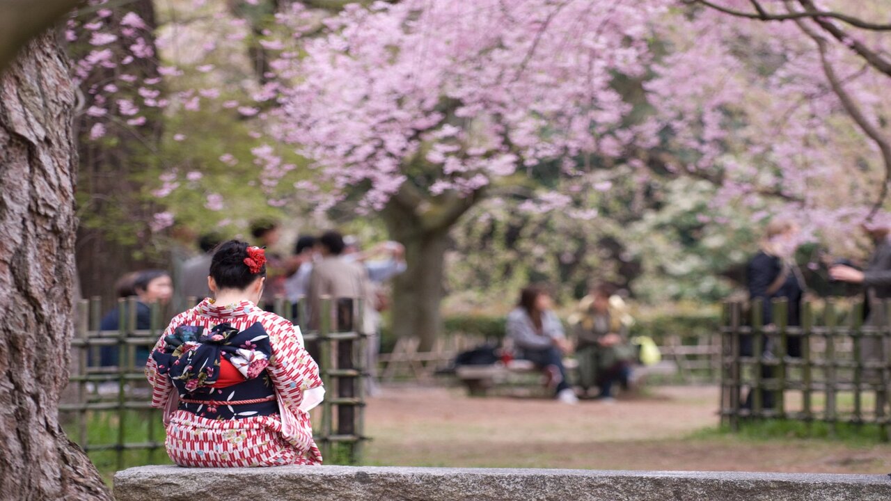 7 điều cần biết về văn hóa trước khi ghé thăm Nhật Bản